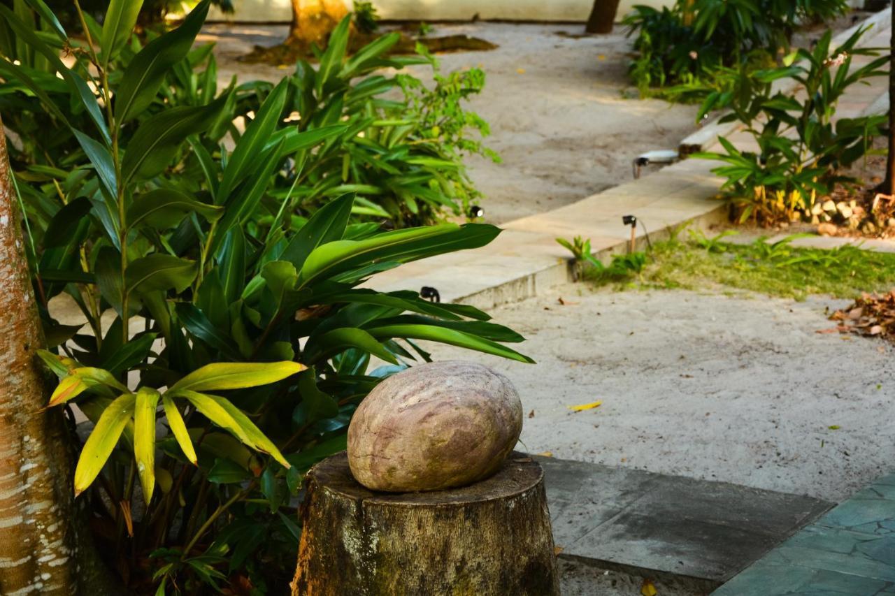 Pousada Vila Palma Boipeba Velha Boipeba Exterior foto